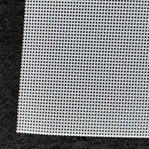 Polyester plain weave mesh belt